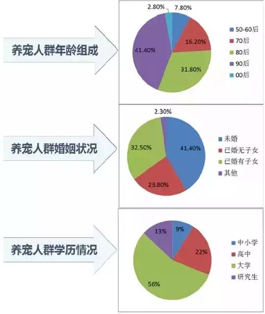 (有必要养宠物吗现在)养宠物，必要性与多元视角下的利弊权衡